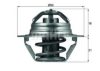 BEHR TX 100 89D Thermostat, coolant